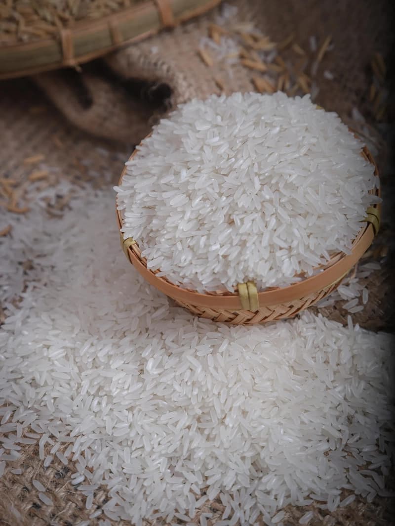 Premium Jasmine Rice